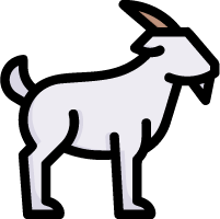 cow